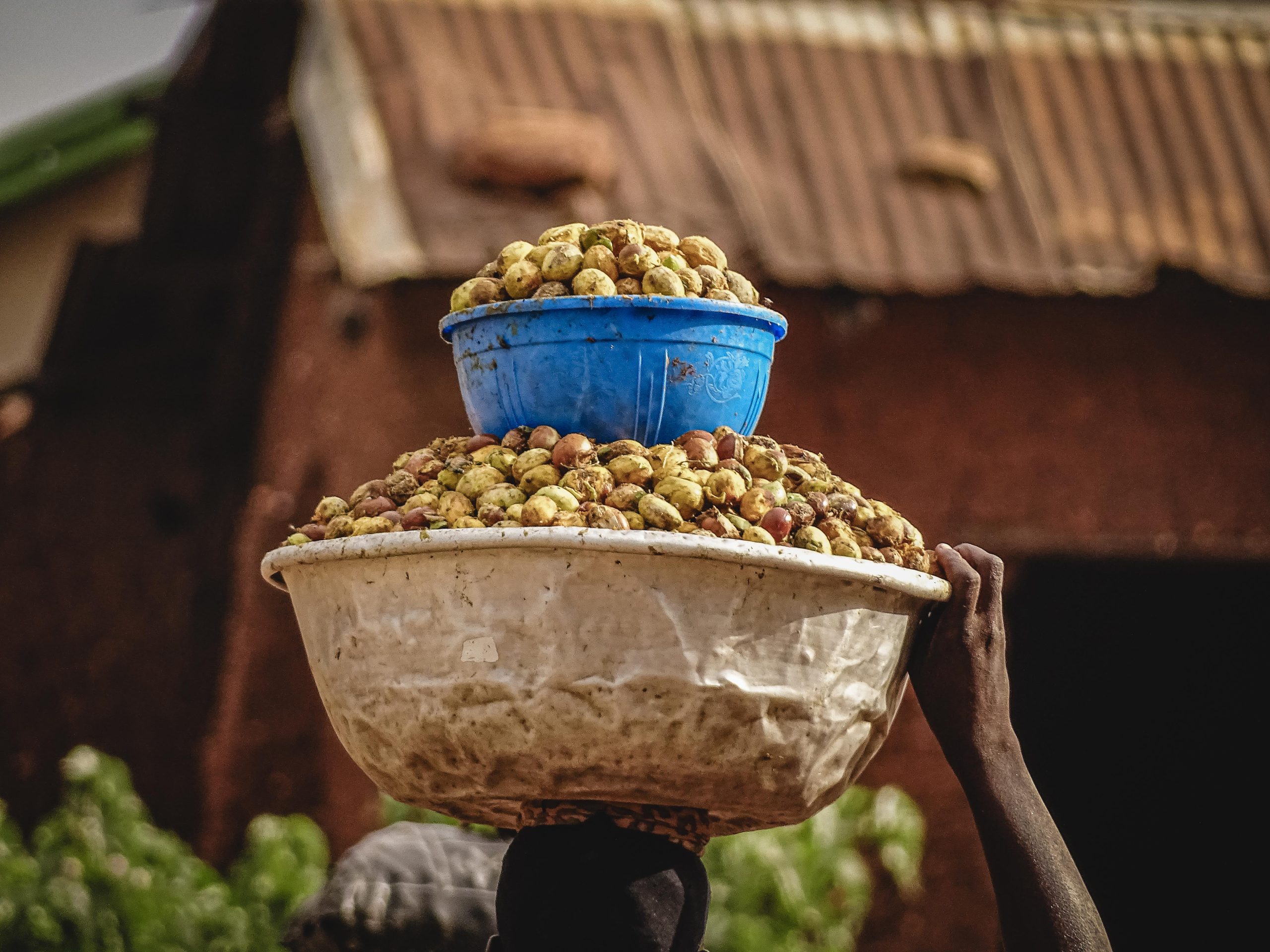 Amélioration des conditions de vie des populations à la périphérie du parc W Bénin et appuis a la conservation des aires communautaire. (ACPPW-ACAC)