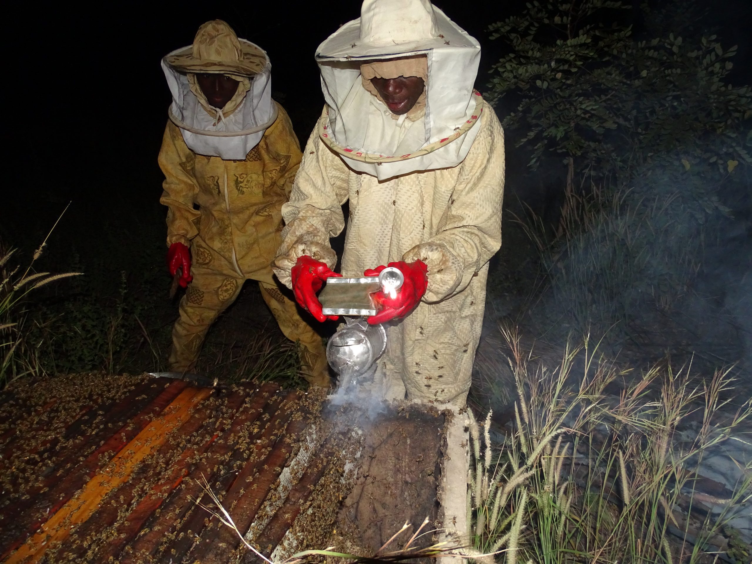 Récolte, achat et conditionnement du miel